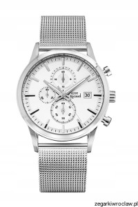 Zegarek męski na meshu Pierre Ricaud P97201.5113CH
